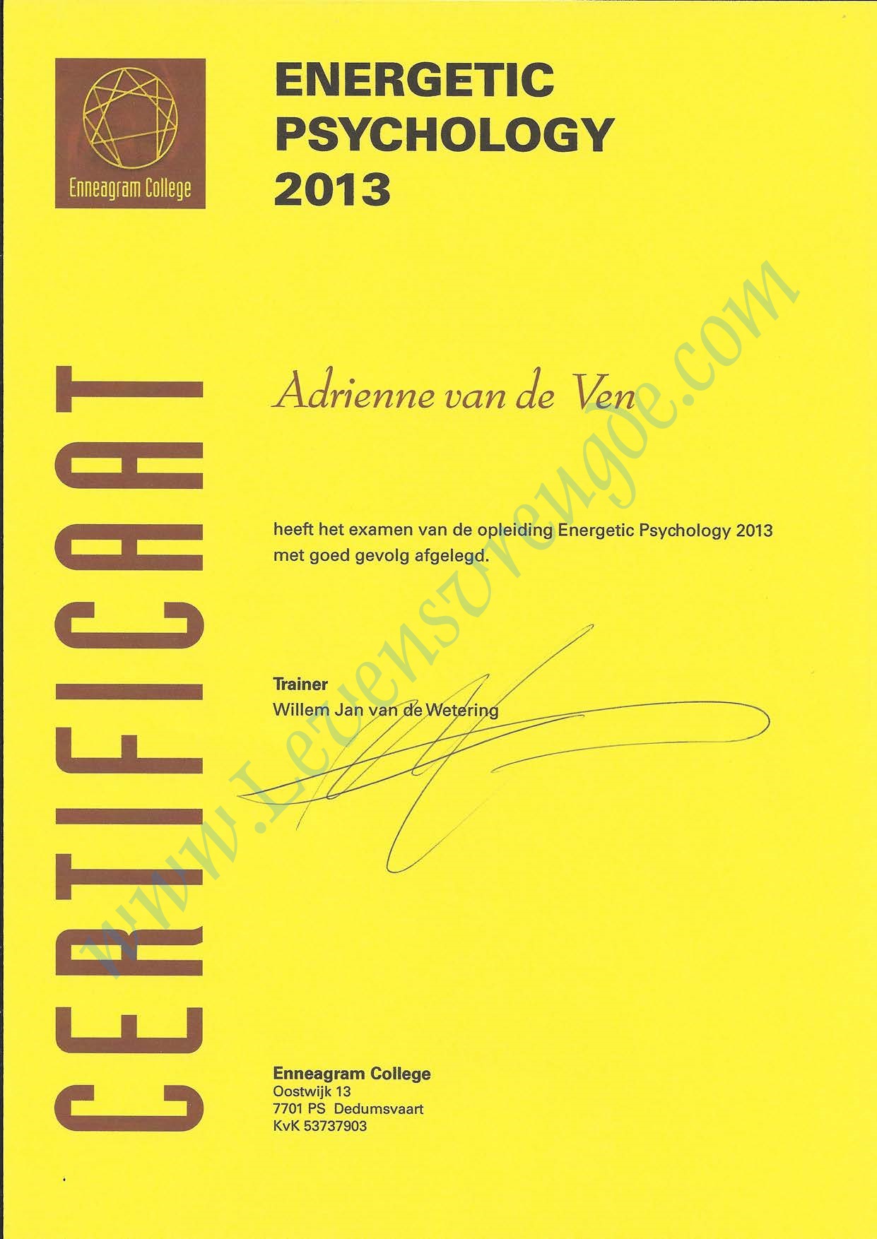 Diploma Energetic Psychology